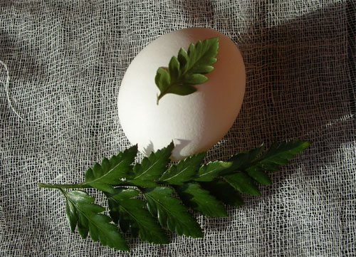 Отпечаток листика на Пасхальном яйце