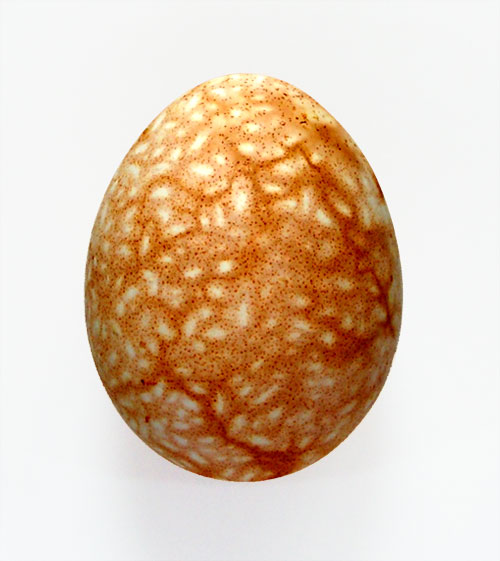 Пасхальное яйцо в крапинку